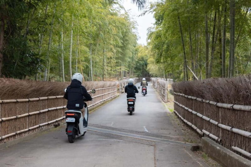 Fun Kyoto Ride! Bamboo Trails, Farm Harvest & Local Eats - Practical Details and Considerations