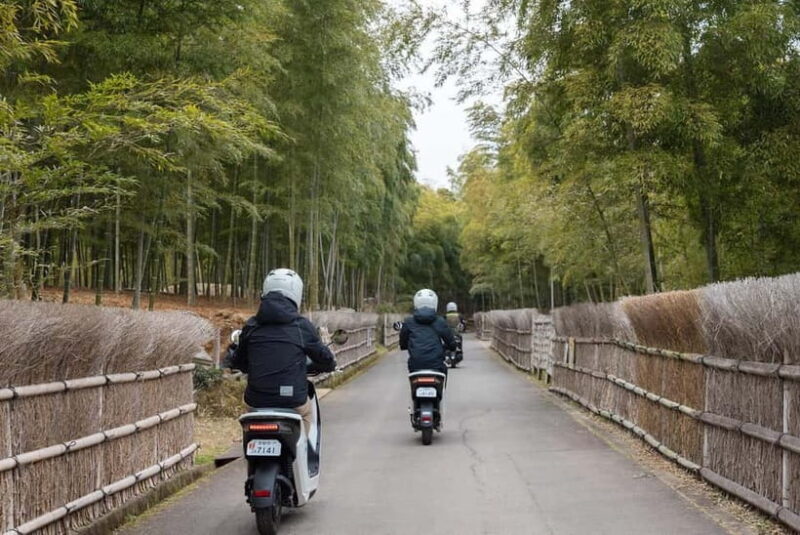 Fun Kyoto Ride! Bamboo Trails, Farm Harvest & Local Eats - Value and Who It’s Best For