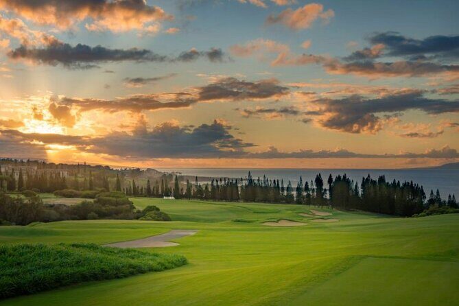 Fun! Open-Air Banyan Tree Forest & Blowhole Sight-Seeing MauiTour - FAQ