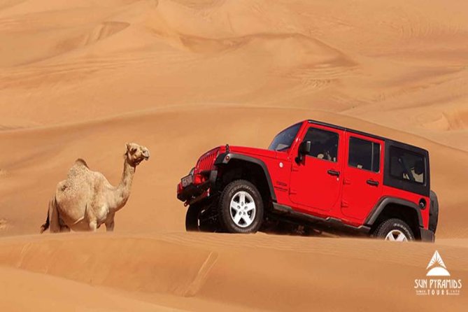 Fun-packed Day Tour in Marsa Alam, Egypt - Cancellation Policy Details
