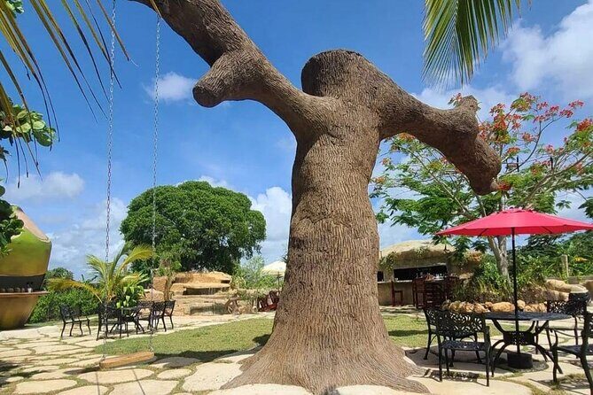 Fun Park Adventure Tour - Final Thoughts