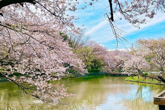 Fun Personalized Kamakura Walking Tour with a Local Guide - Walking Trails, Scenic Views, and Optional Hikes