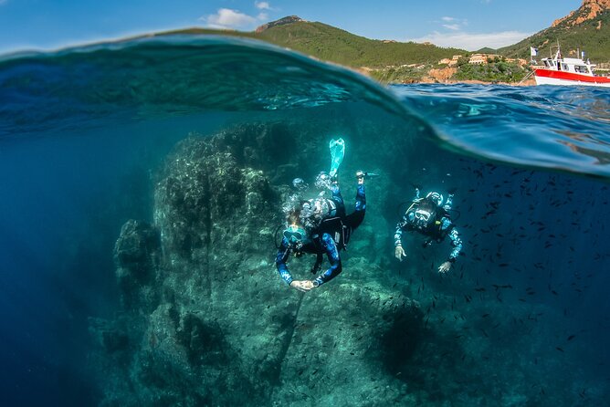 Fun Scuba Diving in Tenerife - Pricing and Booking Options