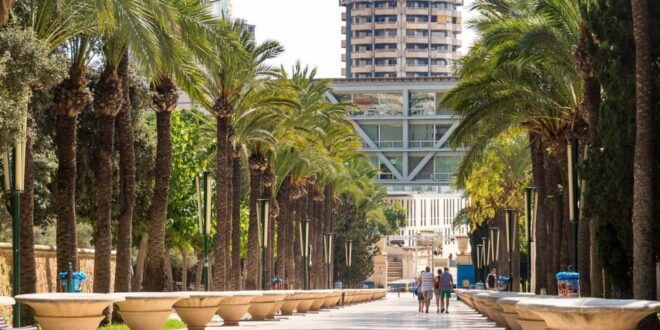 Fun Tour Around Benidorm - Tasting and Activities