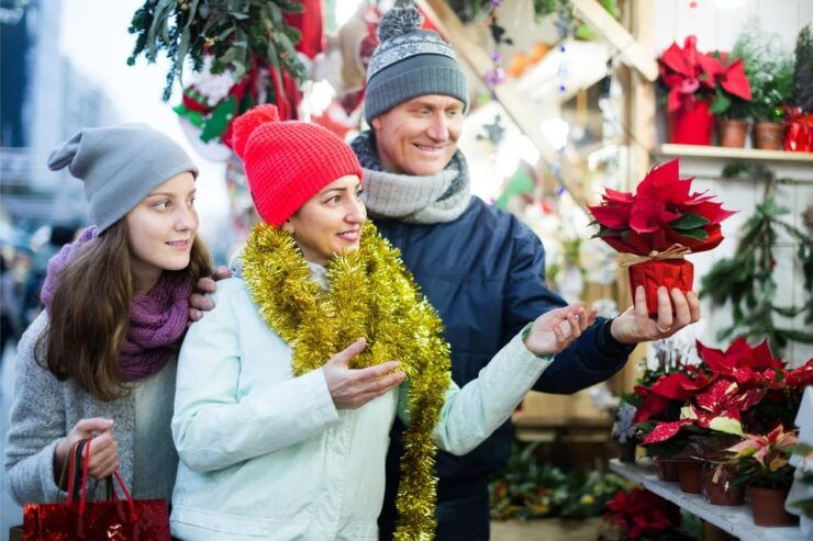 Fun Walking Tour During Christmas in Kilkenny - Explore Kilkenny Castles Festive Grounds