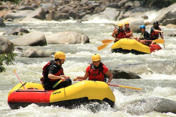 Fun White Water Rafting (Optional Paragliding) Private Tour From Medellin - Pricing and Booking Details