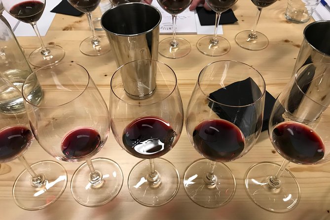 Fun Wine Tasting in Barcelona With a Sommelier! - Important Information for Participants
