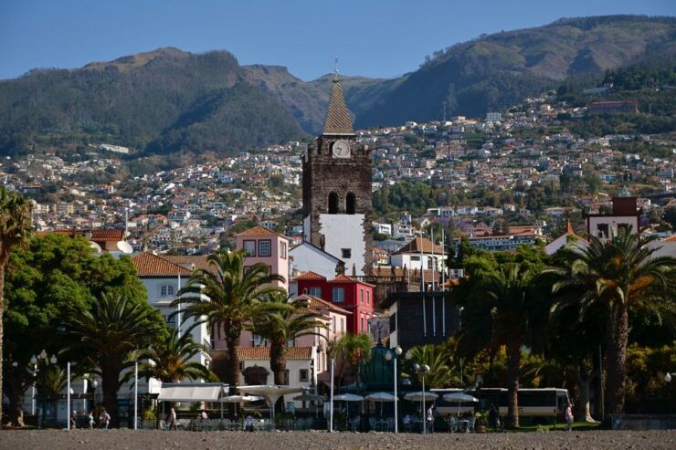 Funchal: 1 Hour Tuk Tuk Private City Tour on Tukway - Tour Booking Information