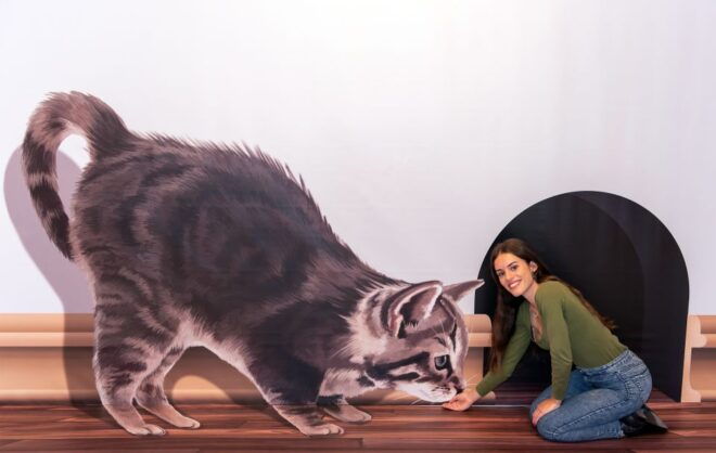 Funchal: 3D Fun Art Museum - Customer Reviews