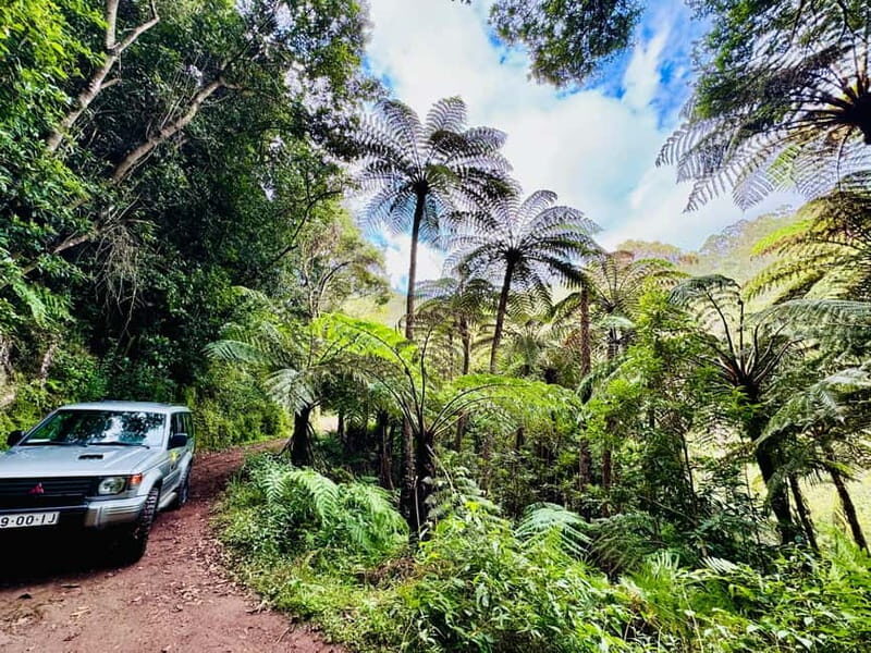 Funchal: 4x4 Jeep Trip to the East and Northeast of Madeira - An In-Depth Look at the Madeira 4x4 Jeep Tour