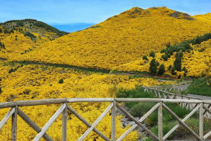 Funchal: 4x4 Jeep Trip to the East and Northeast of Madeira - Return to Funchal