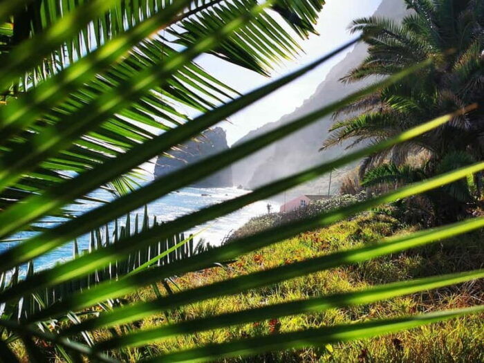 Funchal: 4x4 Jeep Trip to the East and Northeast of Madeira - Duration and Practicalities