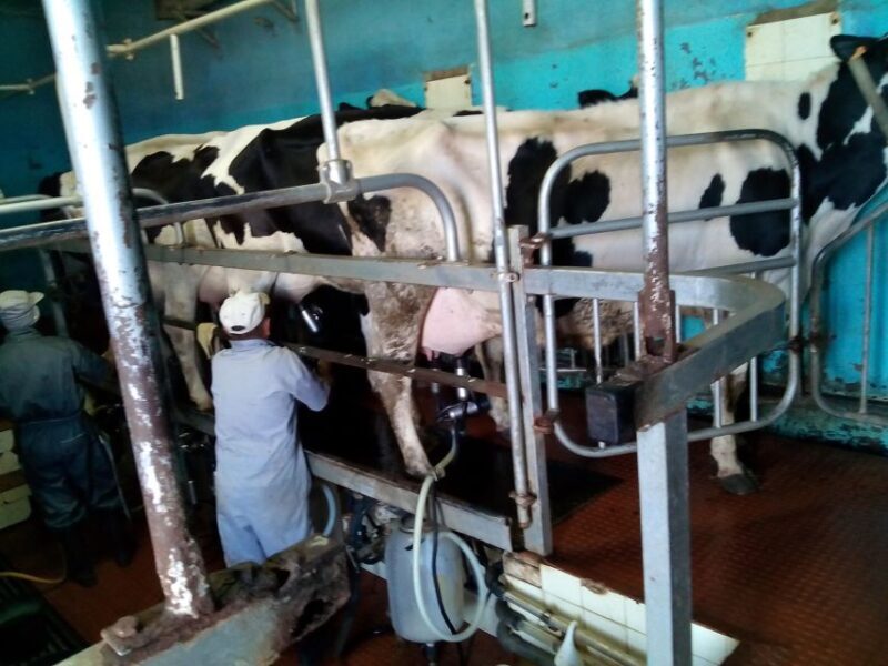 Funchal Agriculture Green Tour - Good To Know