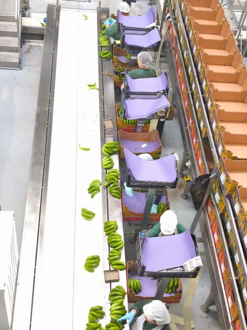 Funchal Agriculture Green Tour - An In-Depth Look at the Funchal Agriculture Green Tour