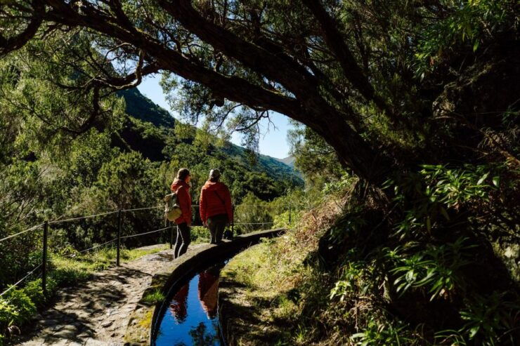 Funchal and Caniço: Hiking Trails Roundtrip Shuttle Bus - Activity Details