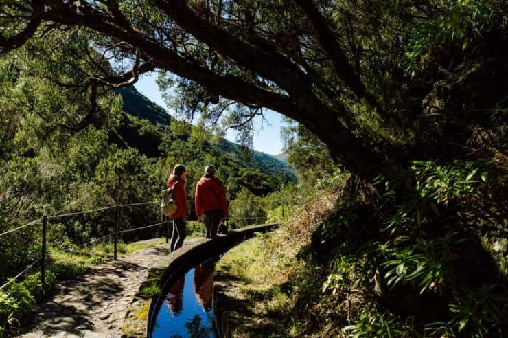 Funchal and Caniço: Rabaçal Hiking Trip With Transfer - Good To Know