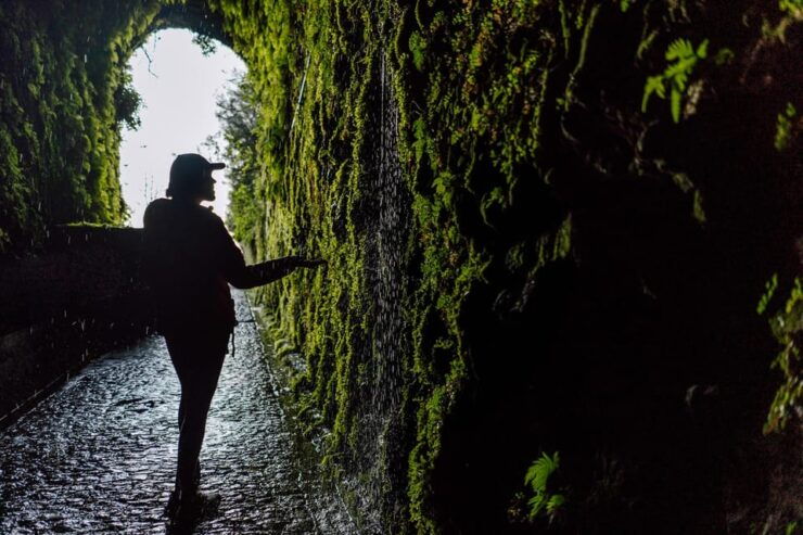 Funchal and Caniço: Rabaçal Hiking Trip With Transfer - Pricing and Payment Options