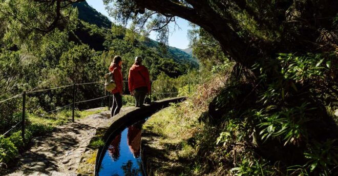 Funchal and Caniço: Rabaçal Hiking Trip With Transfer - Shuttle Transportation Details
