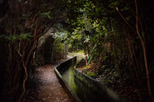 Funchal and Caniço: Rabaçal Hiking Trip With Transfer - Customer Reviews and Ratings