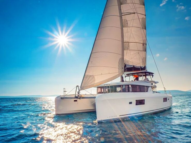 Funchal Bay: Dolphin & Whale Watch Luxury Catamaran Cruise - Experience Highlights