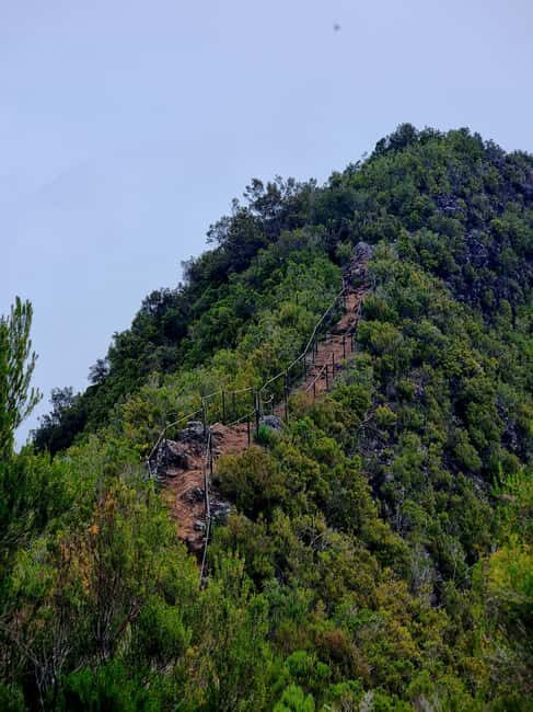 Funchal: Bica da Cana to Encumeada Guided Hike with Pickup - Funchal: Bica da Cana to Encumeada Guided Hike with Pickup — A Complete Review