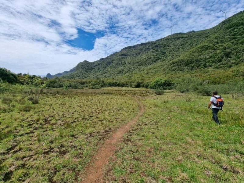 Funchal: Bica da Cana to Encumeada Guided Hike with Pickup - Good To Know