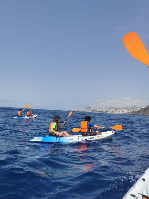 Funchal Boat Trip With Kayak Experience - Experience Details