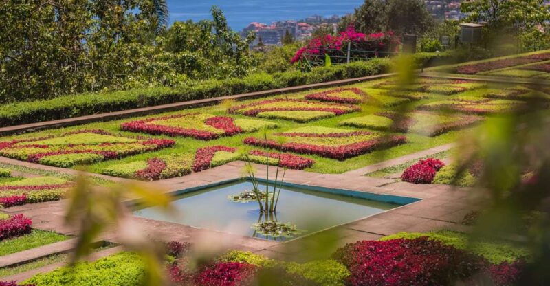 Funchal: Botanical Garden and Old Town Private Tuk-Tuk Tour - Good To Know