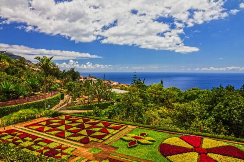 Funchal: Botanical Garden and Old Town Private Tuk-Tuk Tour - Who Will Love This Tour?