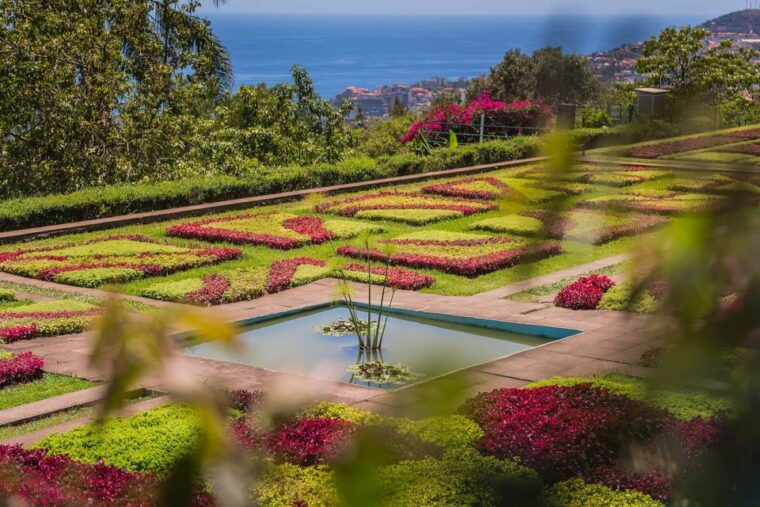 Funchal: Botanical Garden and Old Town Private Tuk-Tuk Tour - FAQs