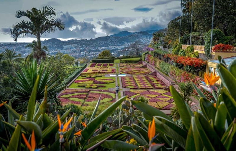Funchal: Botanical Garden & Old Town Tour by TukTuk (1h45) - Who Should Consider This Tour?