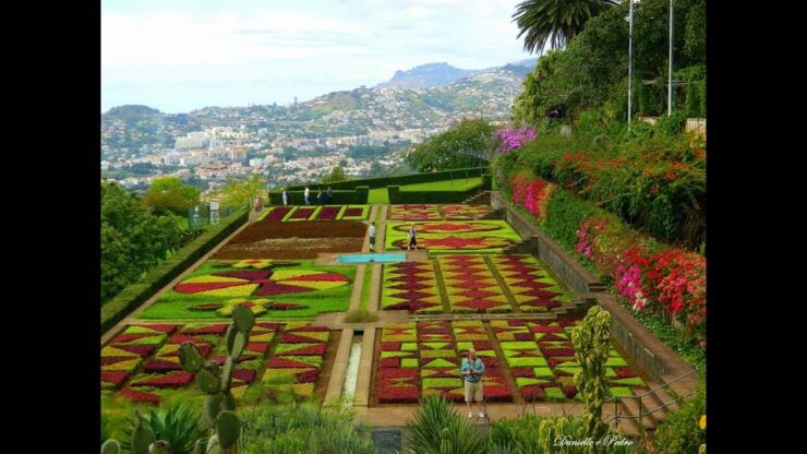 Funchal: Botanical Garden Tour and Guided Tuk-Tuk Ride - Good To Know