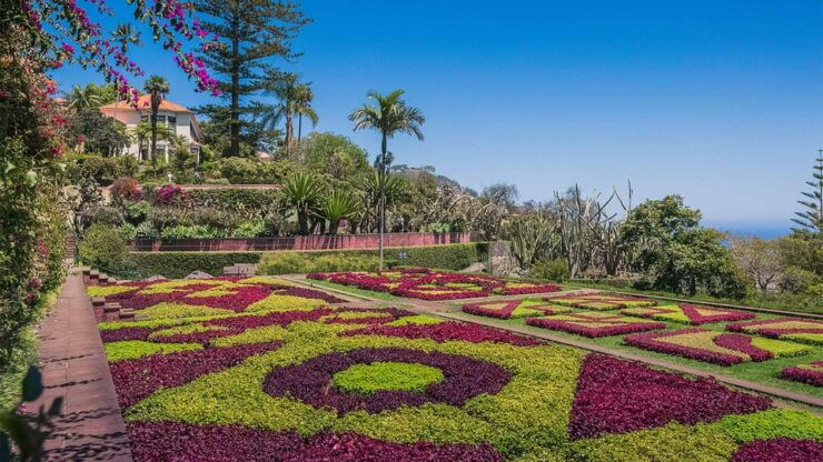 Funchal: Botanical Garden Tour and Guided Tuk-Tuk Ride - Tour Experience