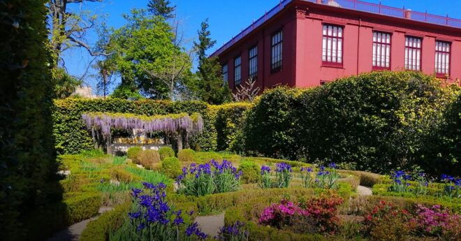 Funchal: Botanical Garden Tour and Guided Tuk-Tuk Ride - Important Information