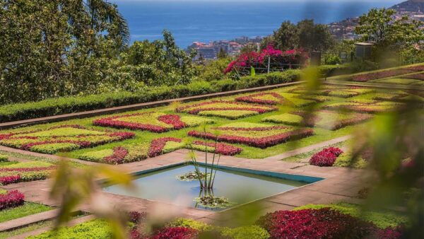 Funchal: Botanical Garden Tour and Guided Tuk-Tuk Ride - Customer Reviews