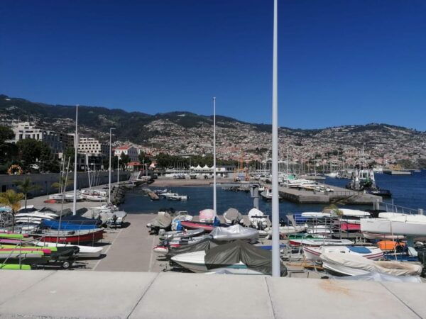 Funchal: Botanical Garden Tour and Guided Tuk-Tuk Ride - Activity: Funchal Botanical Garden
