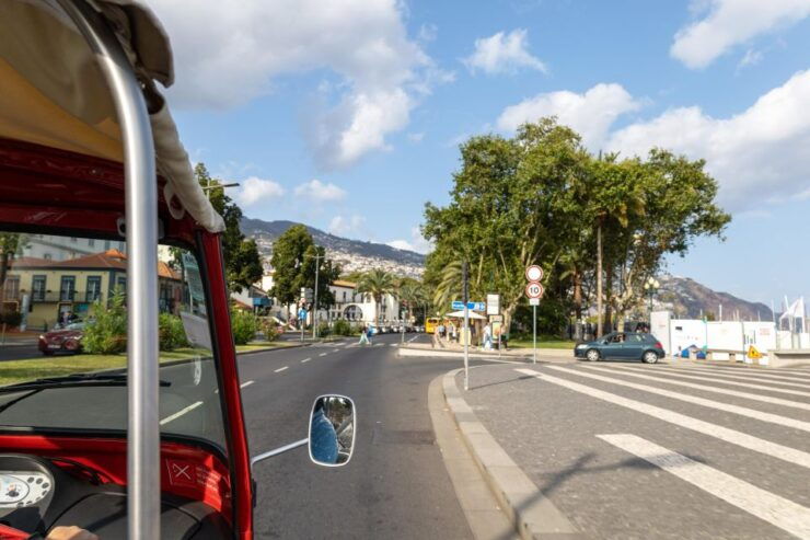 Funchal - Botanical Garden Tour by TukTuk (1h45) - Pricing and Duration