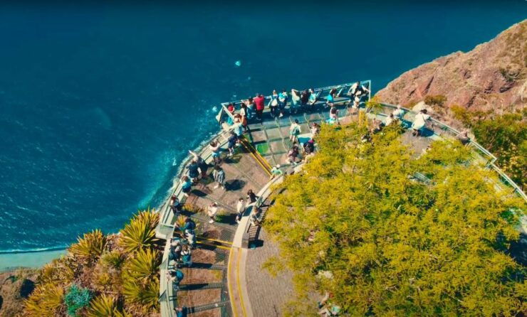 Funchal: Cabo Girão, Wine Tasting & Dolphins Watching - Tour Highlights