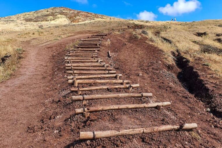 Funchal: Caniçal Transfer for PR8 Hike São Lourenco - The Sum Up: Is It Worth It?
