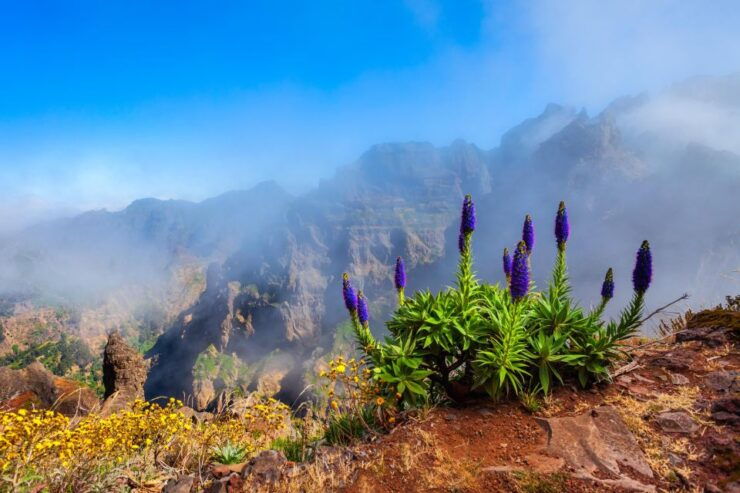 Funchal/Caniço: Stairway to Heaven Hike From Pico Arieiro - Itinerary Highlights