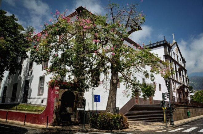 Funchal: City Tour in a Tukxi - Reserve Now & Pay Later