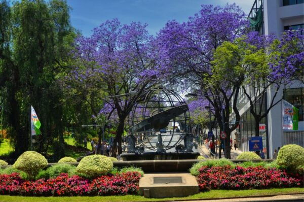 Funchal: City Tour in a Tukxi - Common Questions
