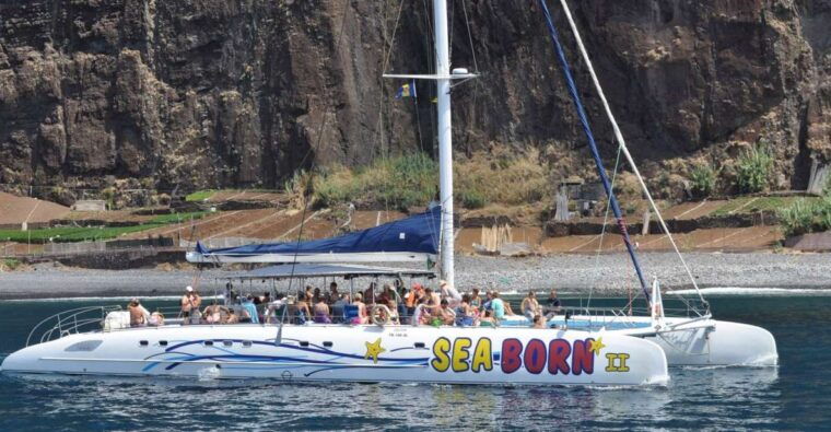 Funchal: Dolphin and Whale Watching Catamaran Cruise - The Value of the Trip