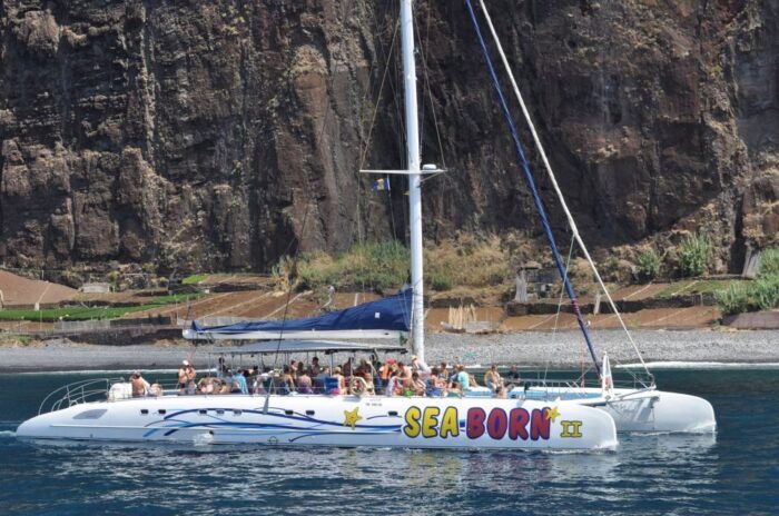Funchal: Dolphin and Whale Watching Catamaran Cruise - FAQ