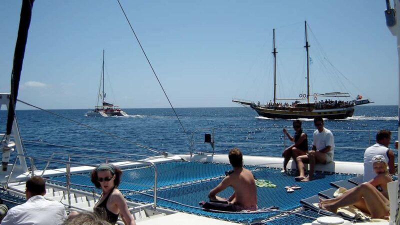 Funchal: Dolphin and Whale-watching Catamaran Tour - An In-Depth Look at the Dolphin and Whale-watching Tour