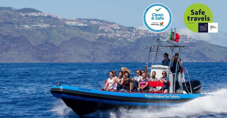 Funchal: Dolphin and Whale Watching Cruise - Experience