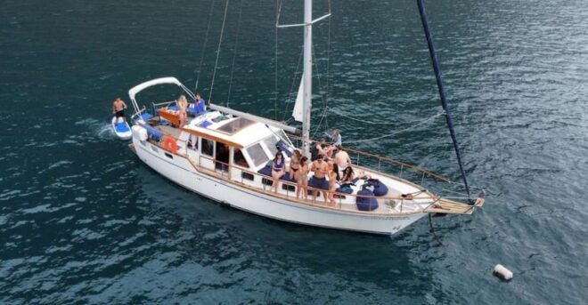 Funchal: Dolphin and Whale Watching Sailing Trip - Highlights of the Sailing Trip