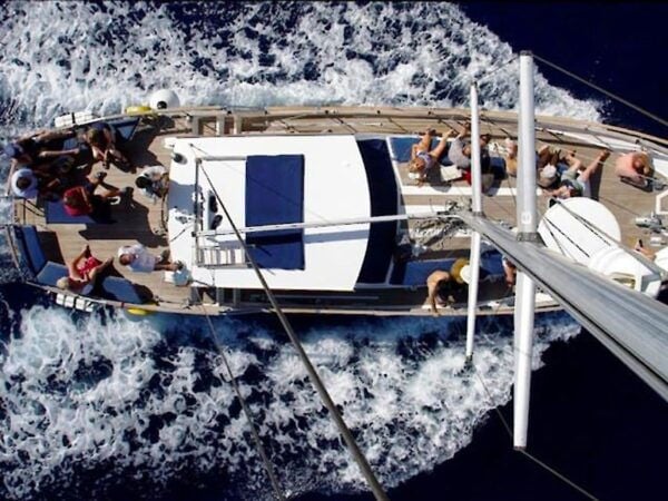 Funchal: Dolphin and Whale Watching Sailing Trip - Additional Information and Options
