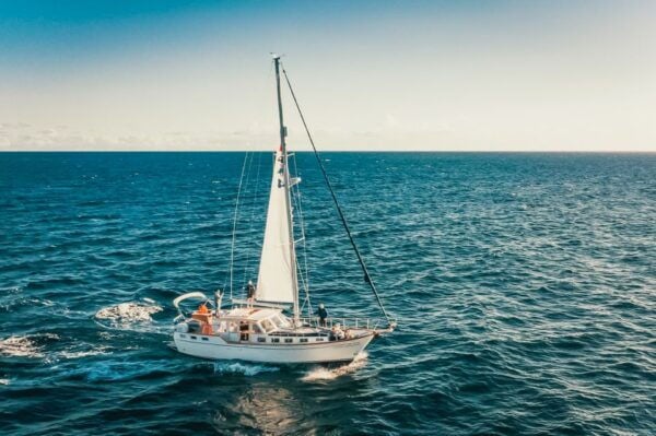 Funchal: Dolphin and Whale Watching Sailing Trip - Common Questions