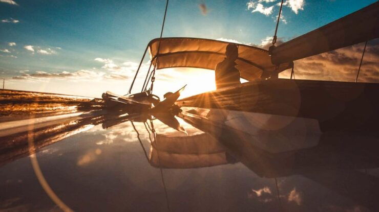 Funchal: Dolphin and Whale Watching Sunset Sailing Tour - Experience Highlights